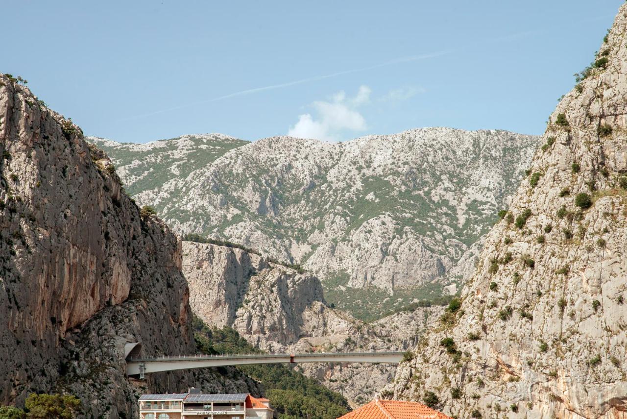 Vito Omis